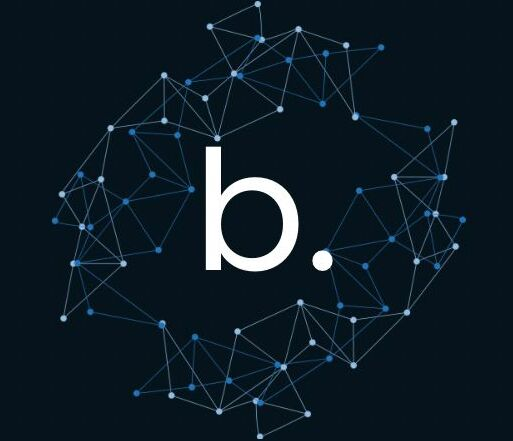 Logo de Bonity